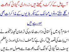 Aiay Mil K Cricket Dekhtay Hain Zardari Or Gilani Ko Dawat