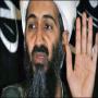 Osama bil ladin halak ho gaye