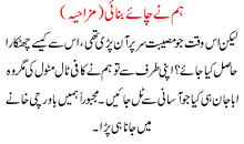 Hum Ne Chaye Banayee