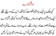 Do Shahzaday - Two Prince