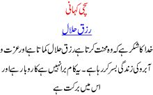 Sachi Kahani, Rizaq Halal