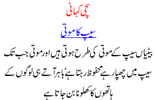 Sachi Kahani, Saip K Moti