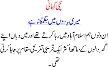 True Story Of Pakistani Women A Love Story Of A Girl From Islamabad And Samir, A Local Resturant Boy