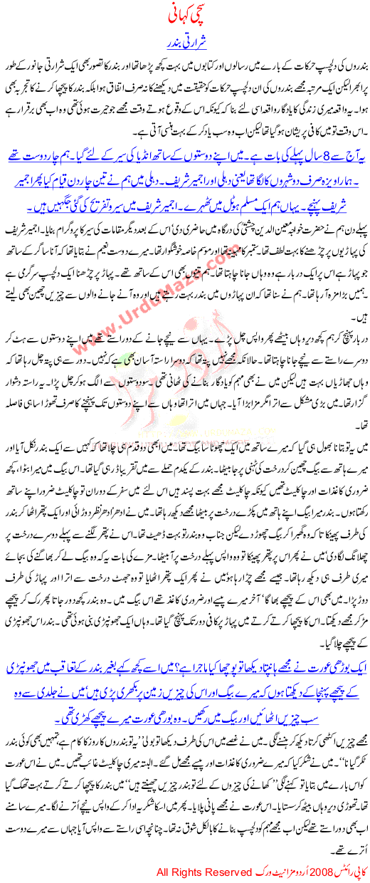 A Tour To Indian Cities Ajmeer Sharif And Dehli And Our Experience With A Stupid Monkey