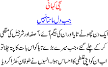 Urdu Story Of Pakistani Community