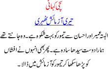 A Happy True Pakistani Love Story Of A Boy And Girl Who Became One At The End.