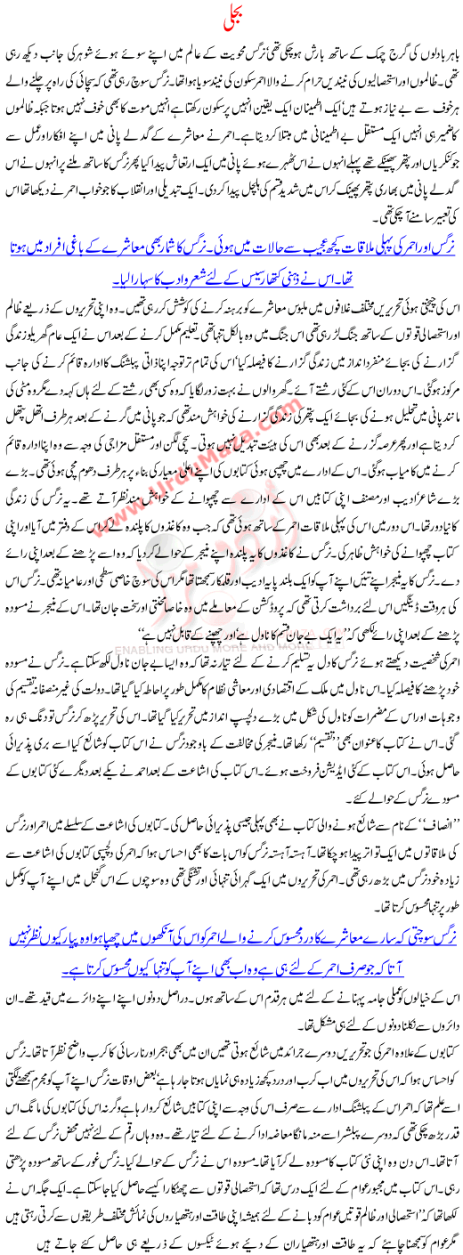 Bijli A Story Of Author Who Was Worried About His Country