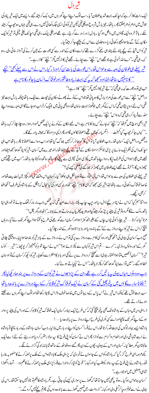 Shair Dil