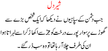 Shair Dil