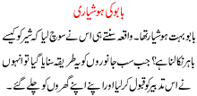 Baboo Ki Hoshyari