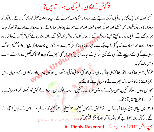 Khargosh K Kan Lambe Kyo Hote Hai