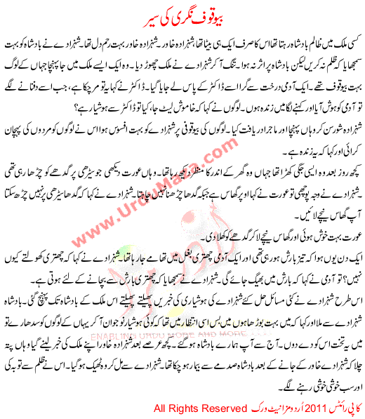 Bewaqoof Nagri Ki Sair