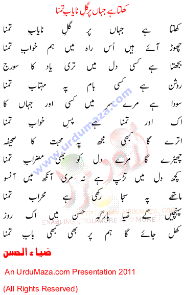 Urdu Poem of Zia Ul Hassan