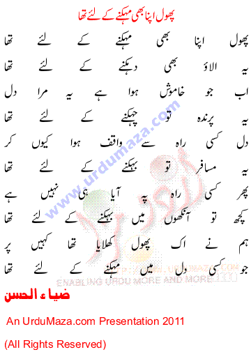 Urdu Poem of Zia Ul Hassan