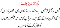 Urdu Kahani Pachtana Na Parr Jaye