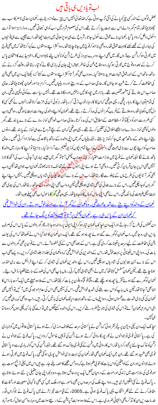 Urdu Kahani Ab To Yadee Hi Baqi Hai