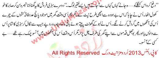 Urdu Kahani Be Kasi K Aanso