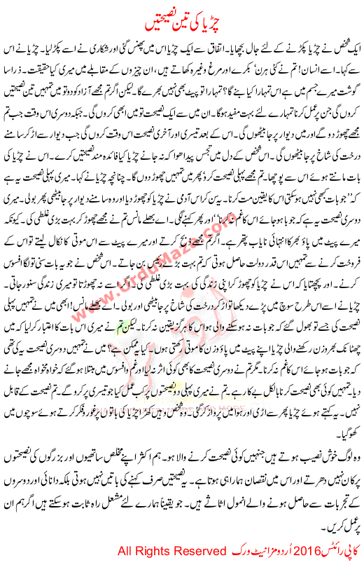 Three Advices Of Sparrow