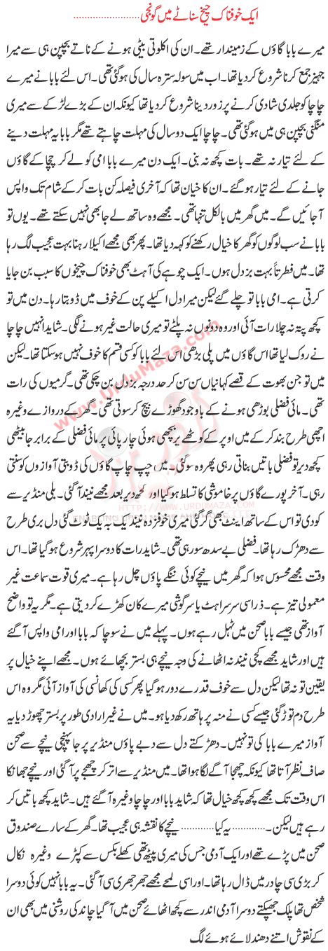 Ek Khaufnaak Chheekh