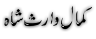 urdu Poetry of Kamal Waris Shah