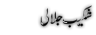 urdu Poetry of Shakeeb Jalali