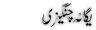 urdu Poetry of Yagana Changaizi